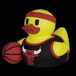 basketball-chicago bulls