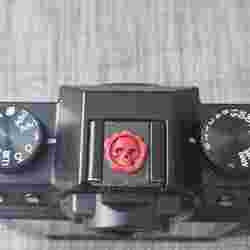 hotshoe camera ornaments / dust covers