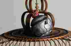 Pokeball Pokemon Professor Sammy Oak