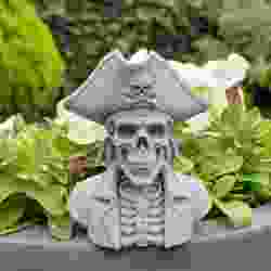 Captain Bonebeard - Pirate bust