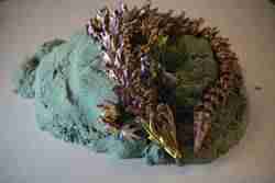 kristal ejderha eklemli