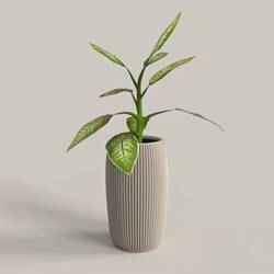 KAVISLI VAZO, VAZO KURNASI