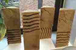 Yaşamın ön unsuru