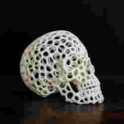 Voronoized Skull