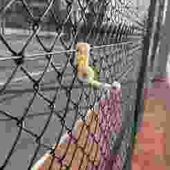 Adjustable Gopro Fence Mount