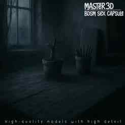BDSM Sex capsule