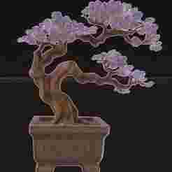 bonsai tree