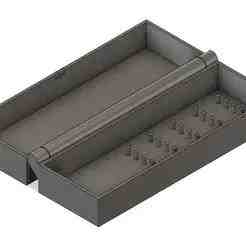 Carp hook system case