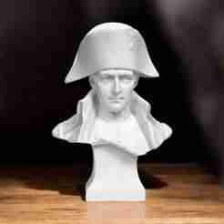 Napoleon bust