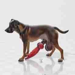 Realistic Texture Erect Furry Dog Figurine – Long Dick Adult 3D Model 3