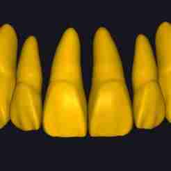 Teeth libraries pack 1