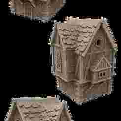 Victorian Architecture - House #3