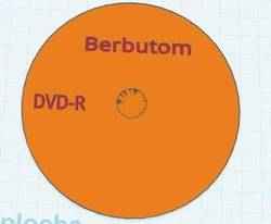 apple on a stick (fake)