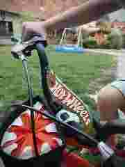 Low Poly Mini Lop Light Diffuser