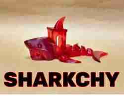 benchy köpekbalığı / sharkchy