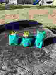 Noel Pudingi Bulbasaur