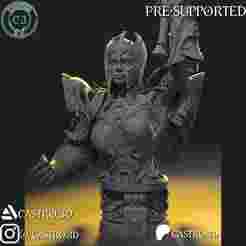 Dame Aylin - BG3 Bust Collection 3D print model