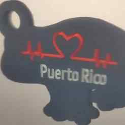 Puerto Rico Coqui Keychain 🐸🇵🇷 | Free for the community (AMS compatible)