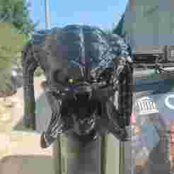 TOP SNORKEL HEAD PREDATOR TRIBUTE 4X4