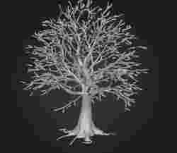 coque chargeur nintendo switch