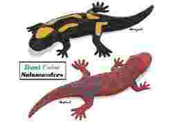 Democratic Penguins Republic 2.5D Magnet (parametric)