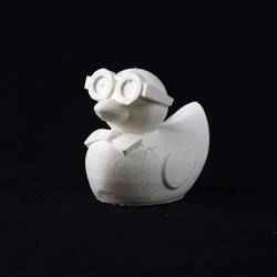 3DPrinterOS Bowtie Duck