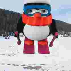 MAFSALLI YILBAŞI PENGUENI