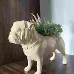 English Bulldog planter pot flower vase stl
