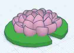 parrot wearing shades