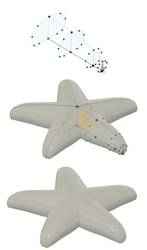 YARQM: Starfish
