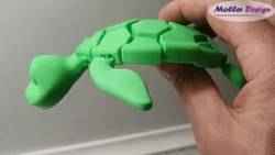Esnek kaplumbağa fidget