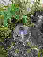 Golf Plus Handyhalterung