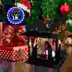 Maceta PequeÃ±a (Little Planter)