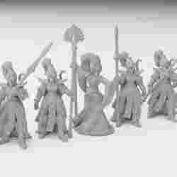 Elven Queen and her Bodyguard miniatures (modular)