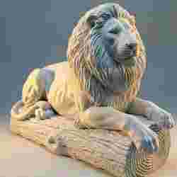 Leão em repouso imponente